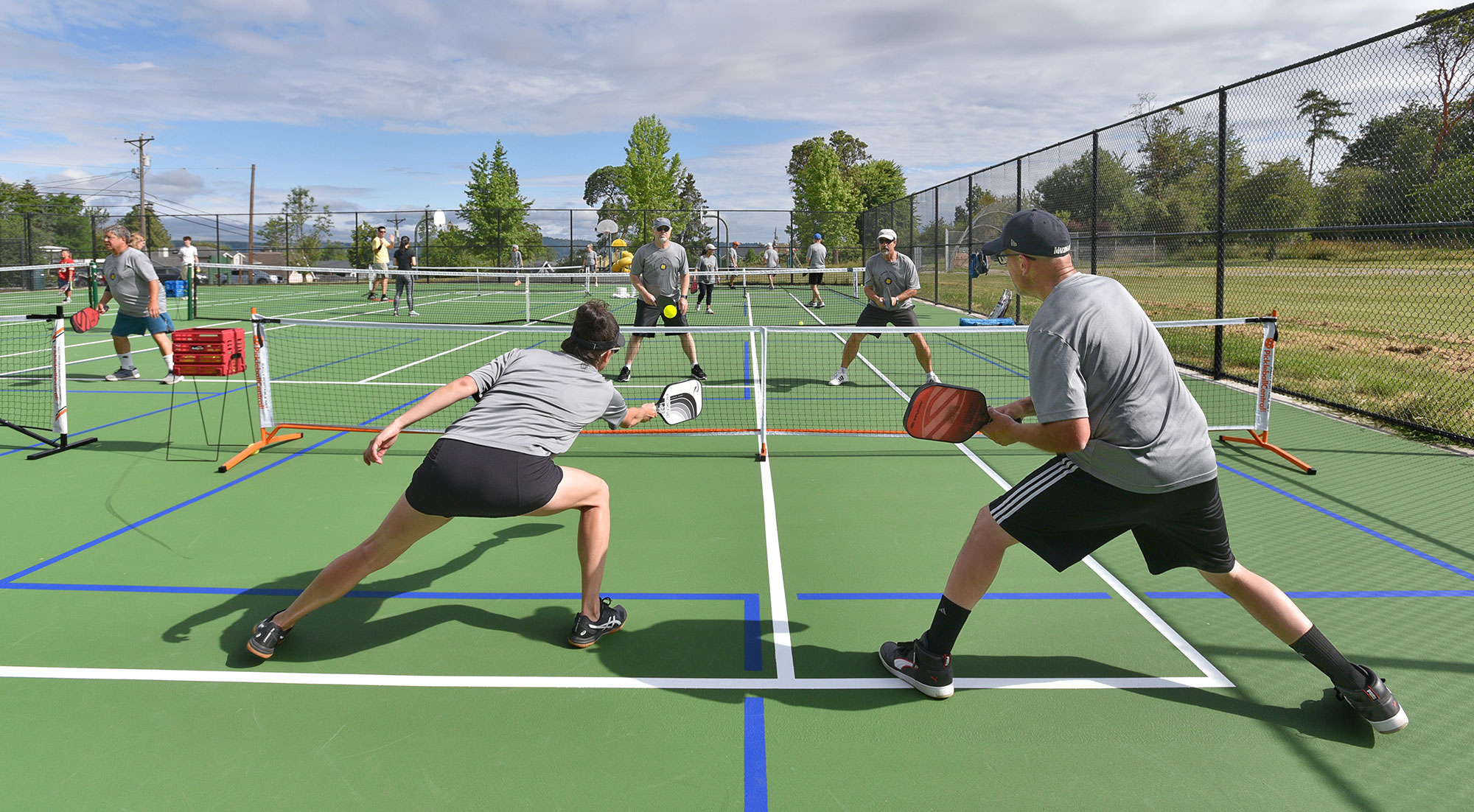 Pickleball and Accounting! Are you for real? - Accountit, CPA